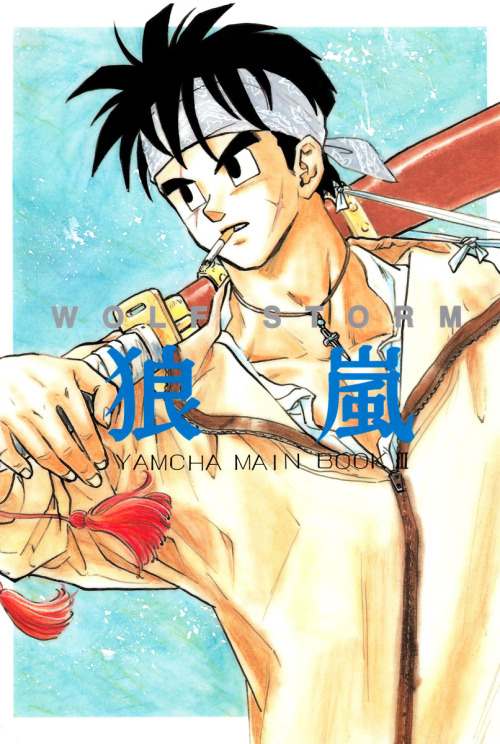 Dragon Ball - Wolf Storm (Doujinshi) manga cover