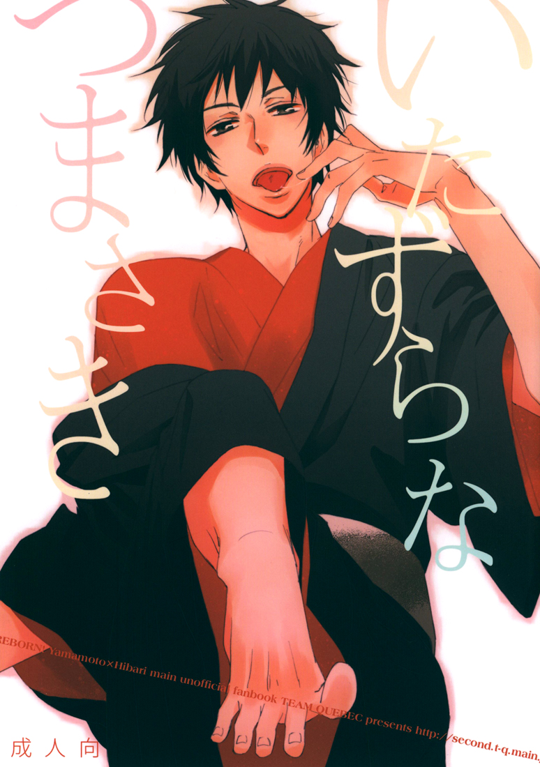 Katekyo Hitman Reborn! - Naughty Toes (Doujinshi) manga cover