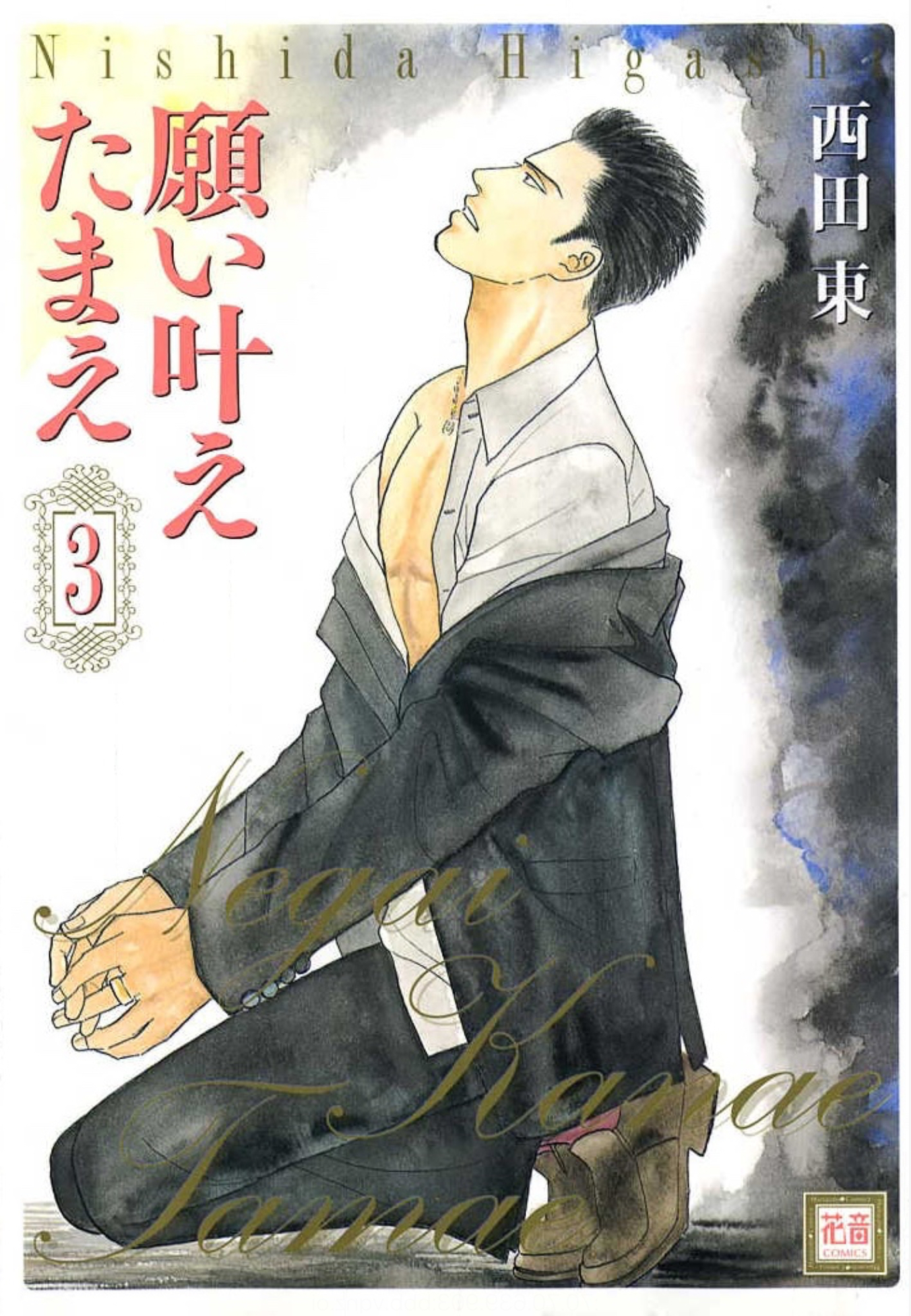 Negai Kanae Tamae manga cover