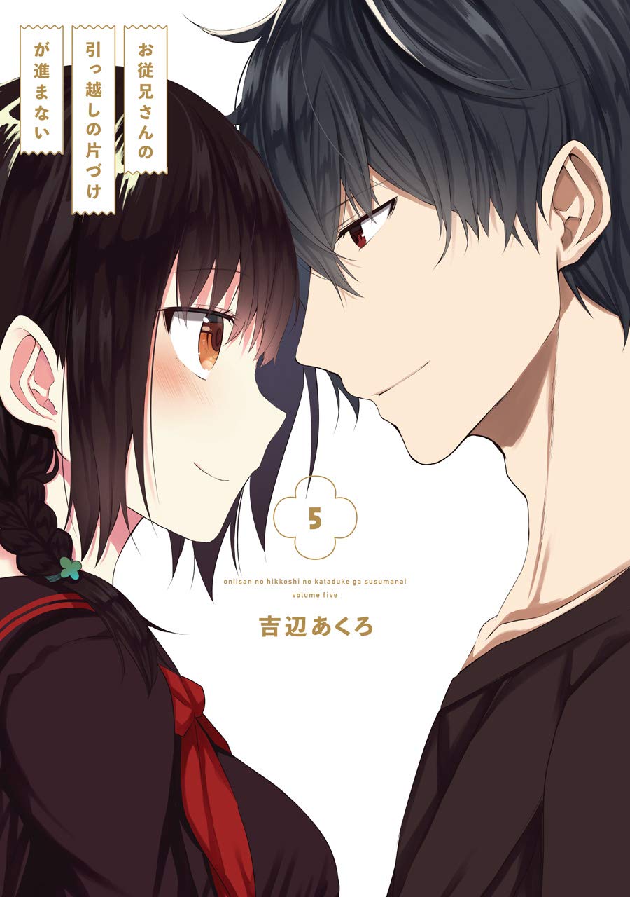 Oniisan no Hikkoshi no Katazuke ga Susumanai manga cover