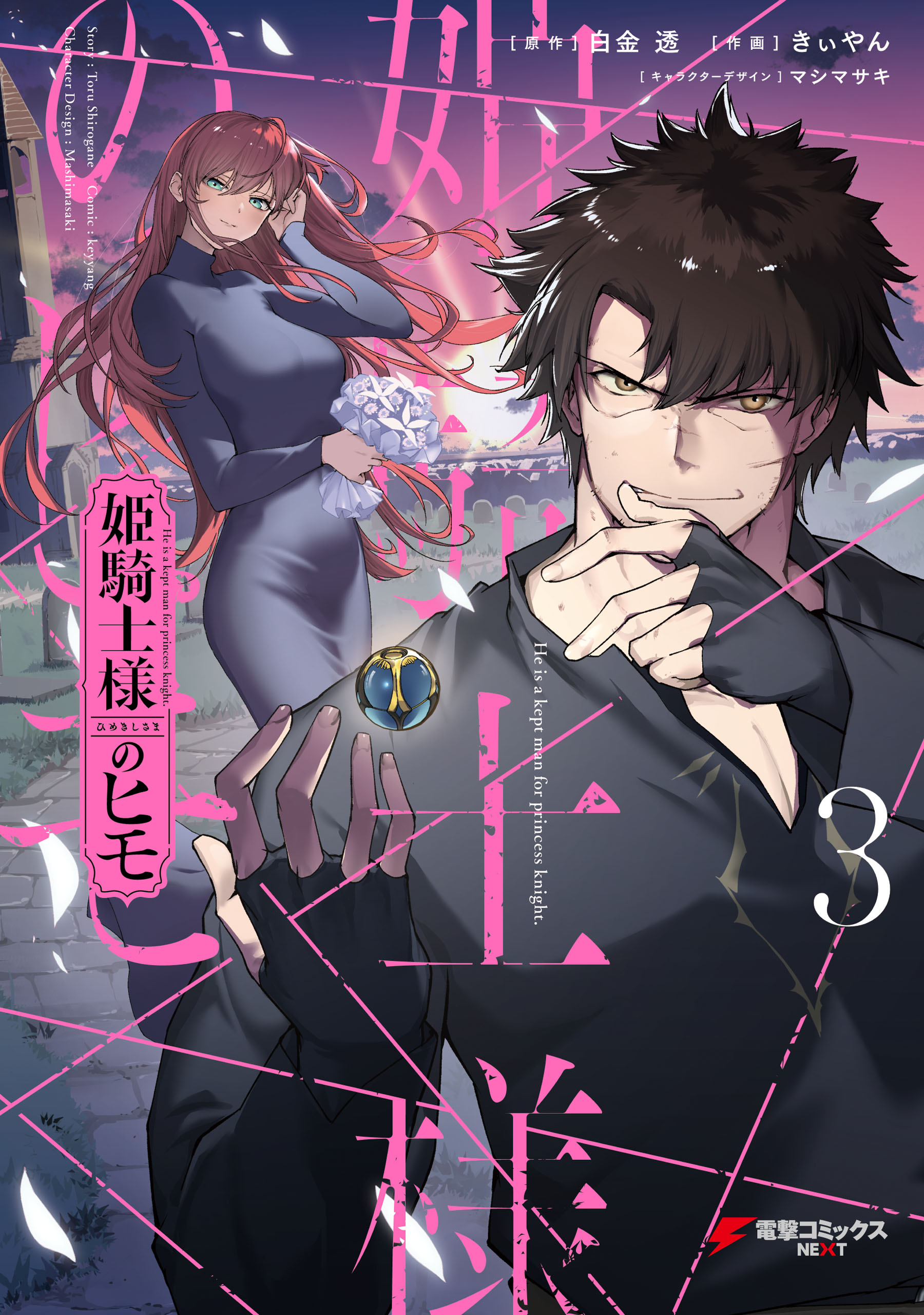The Kept Man of the Princess Knight manga cover