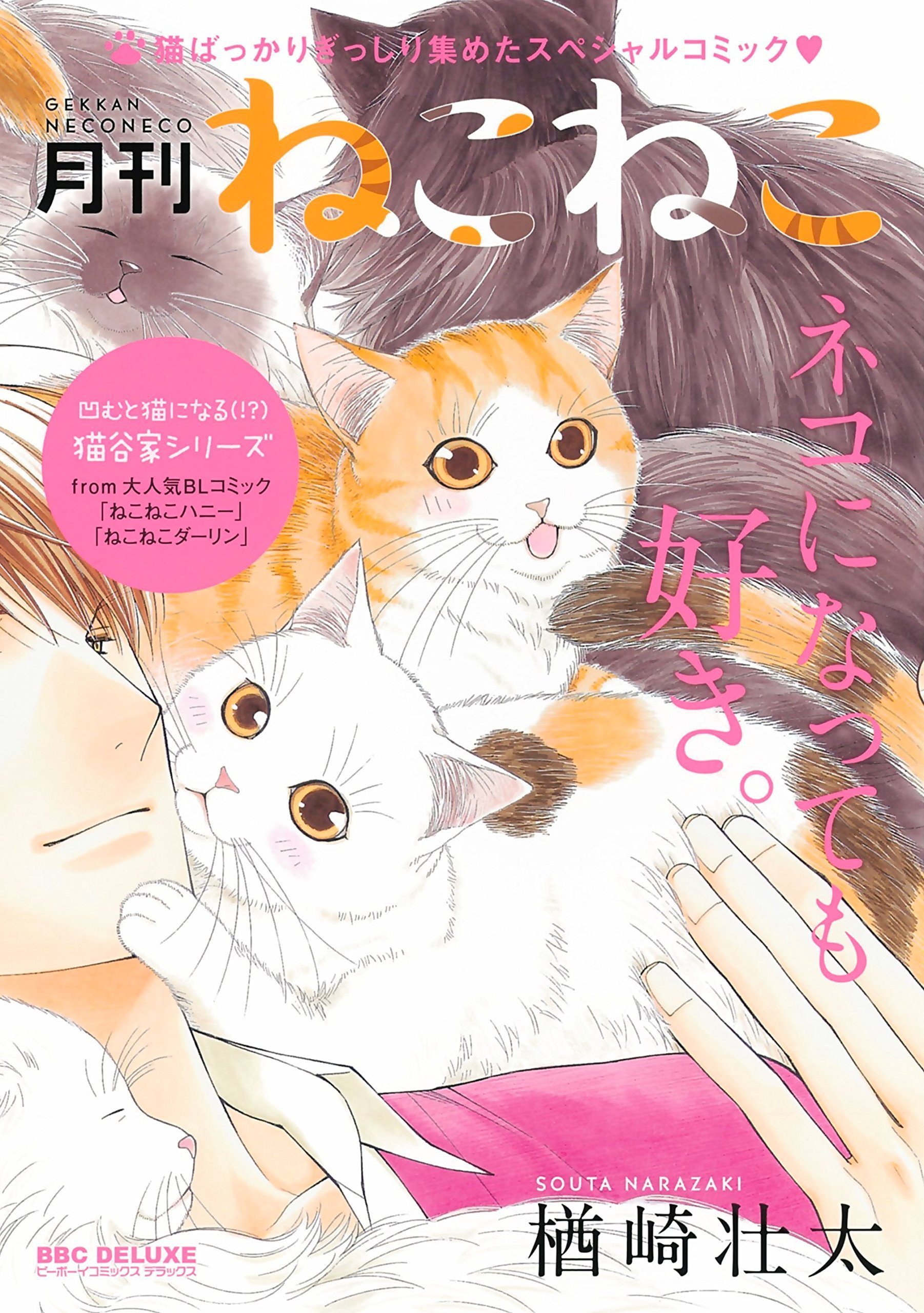 Gekkan Neko Neko manga cover