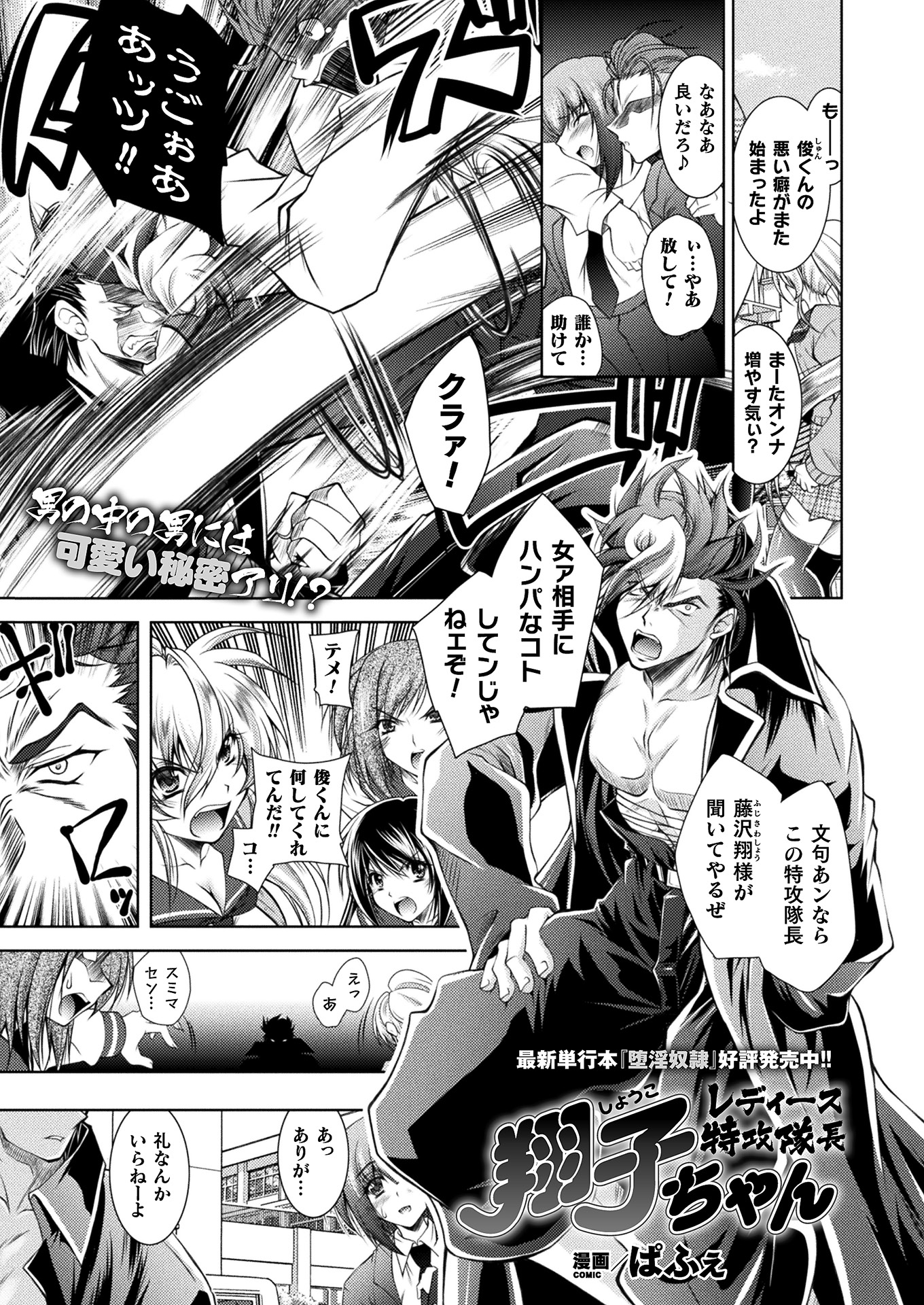 Ladies Special Force Captain Shouko-chan manga cover
