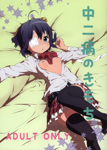 Chuunibyou demo Koi ga Shitai! - Chuunibyou no Kimochi (Doujinshi) manga cover