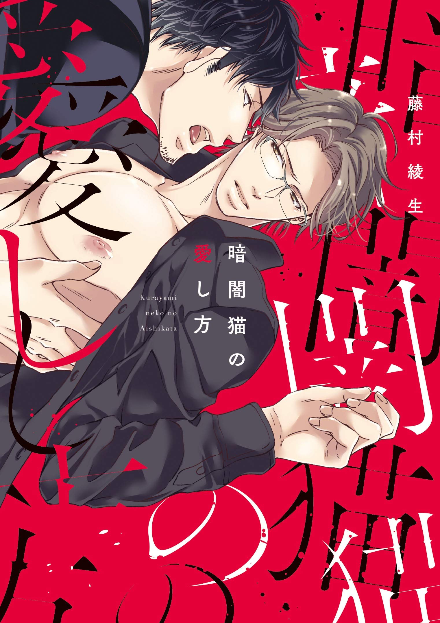 Kurayami Neko no Aishikata manga cover