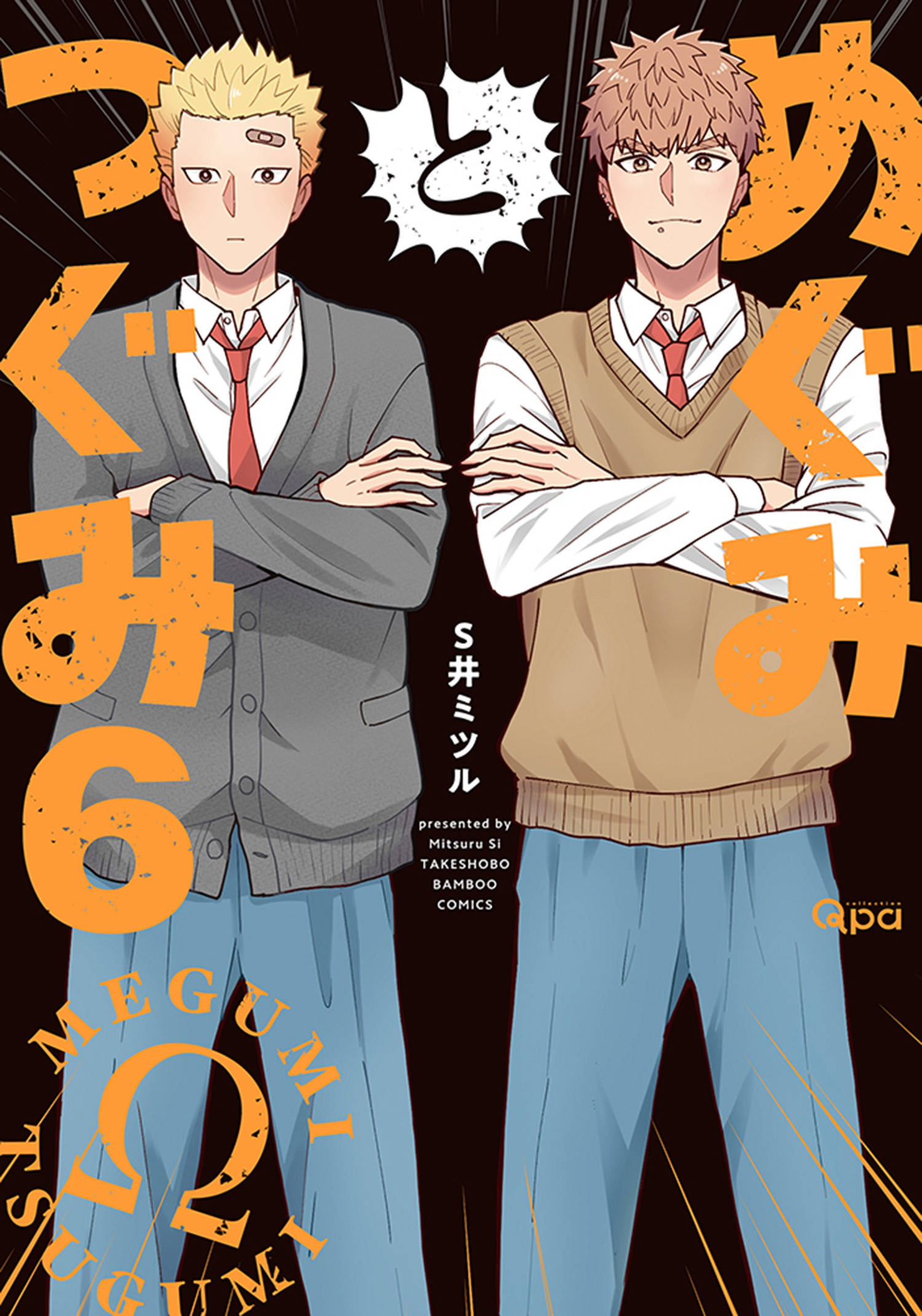 Megumi to Tsugumi manga cover