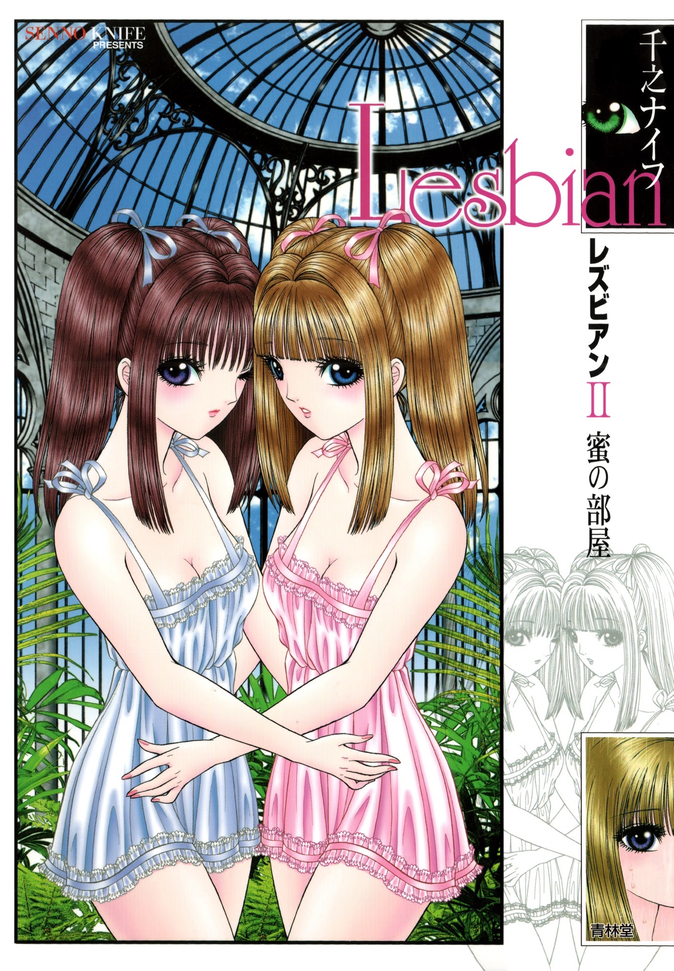 Lesbian manga cover
