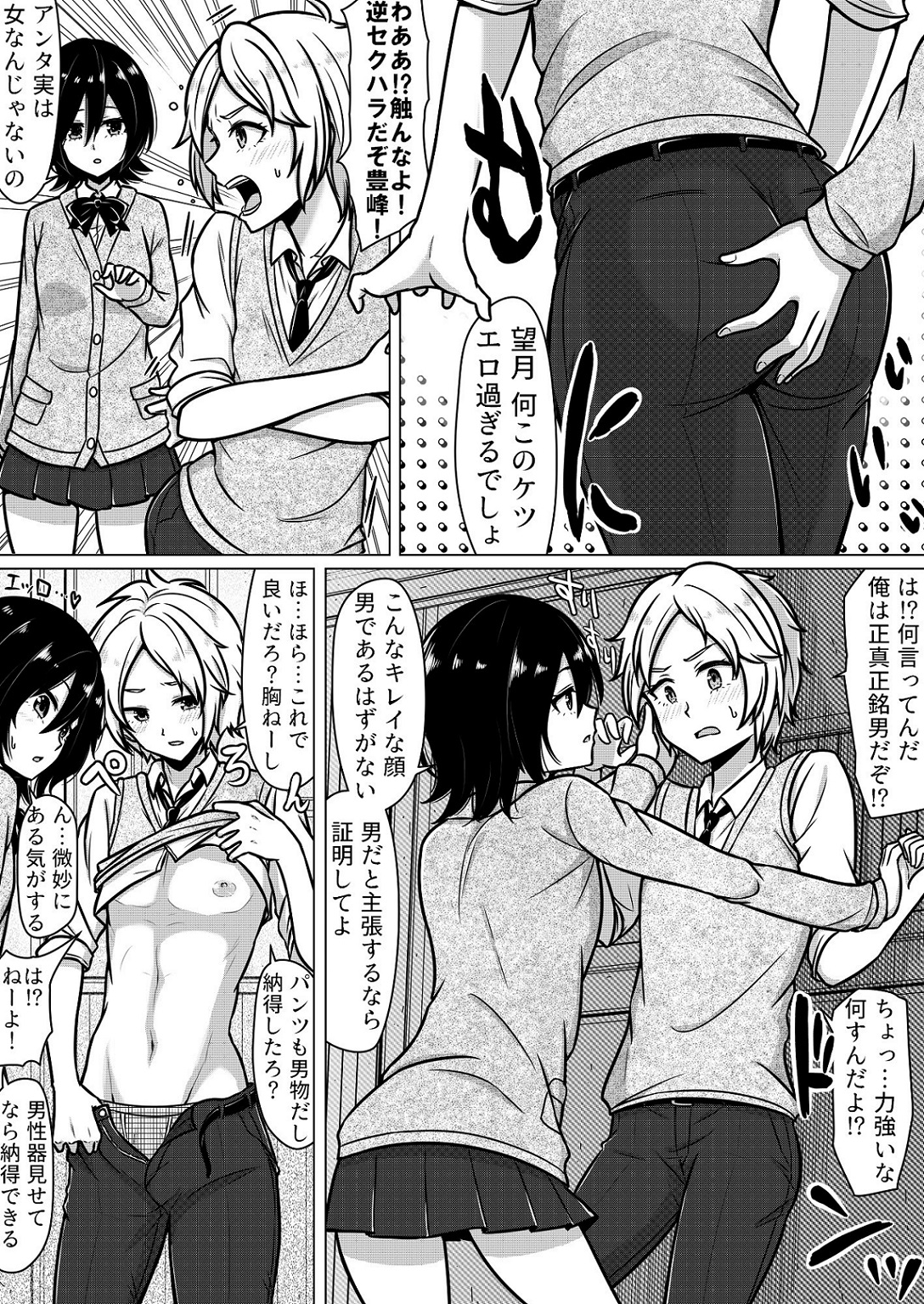 A Boy Under Suspicion of Being a Girl manga cover