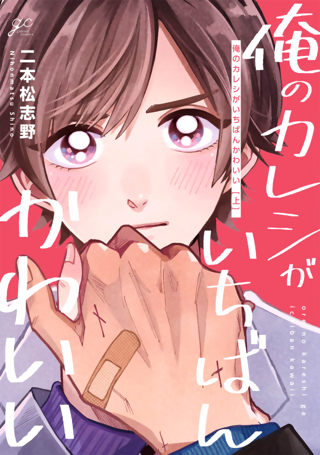 Ore no Kareshi ga Ichiban Kawaii manga cover