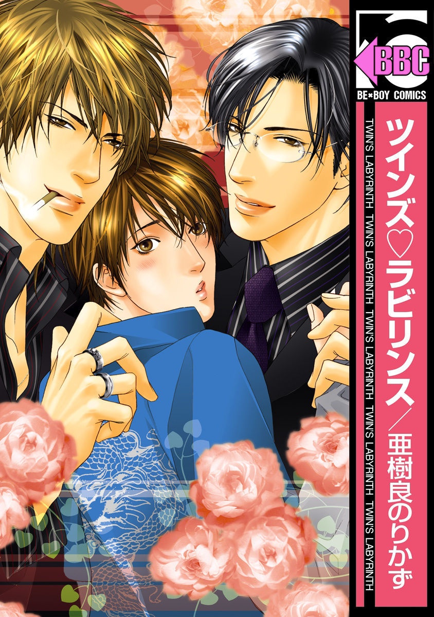 Twins Labyrinth manga cover
