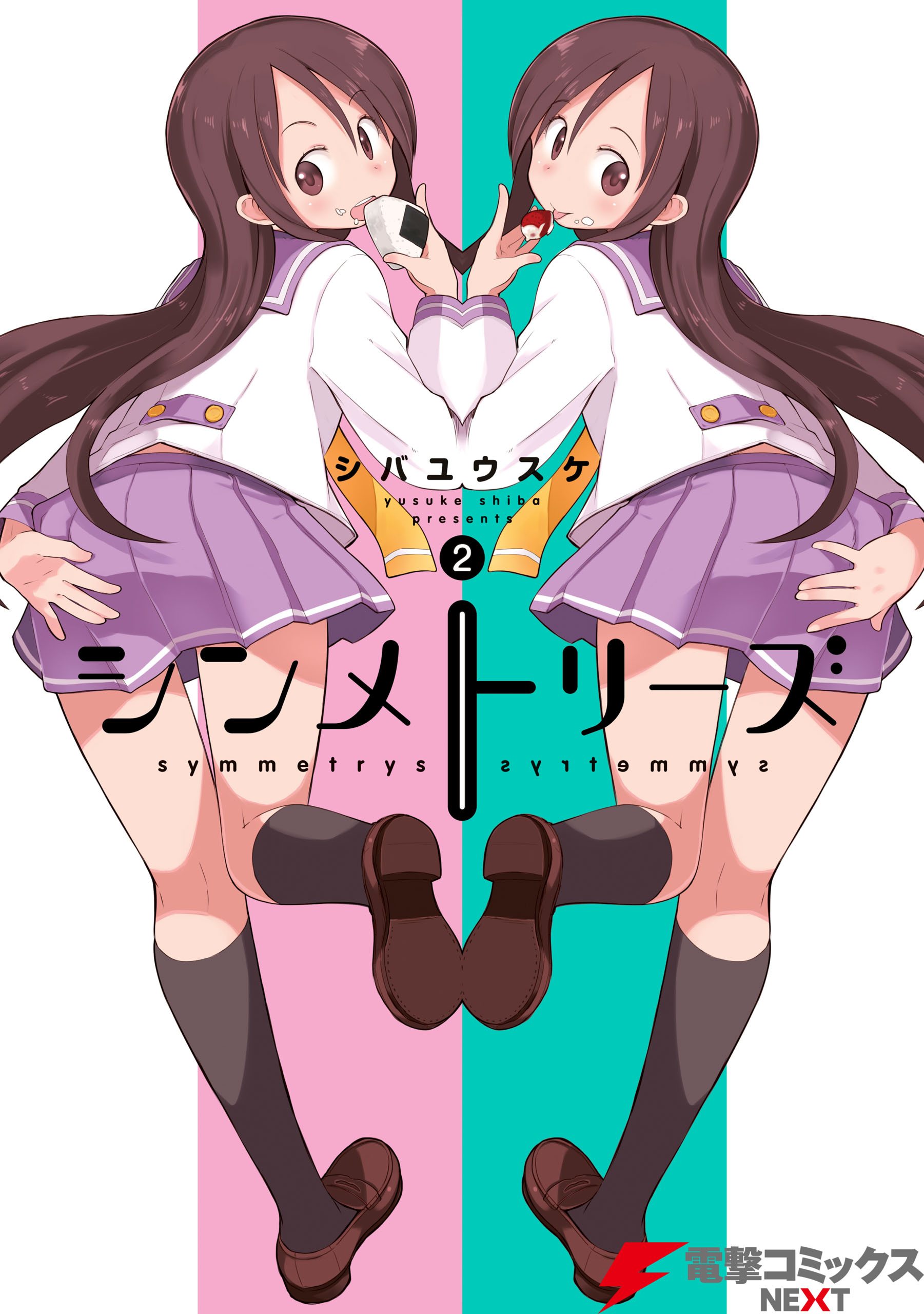 Symmetrys manga cover
