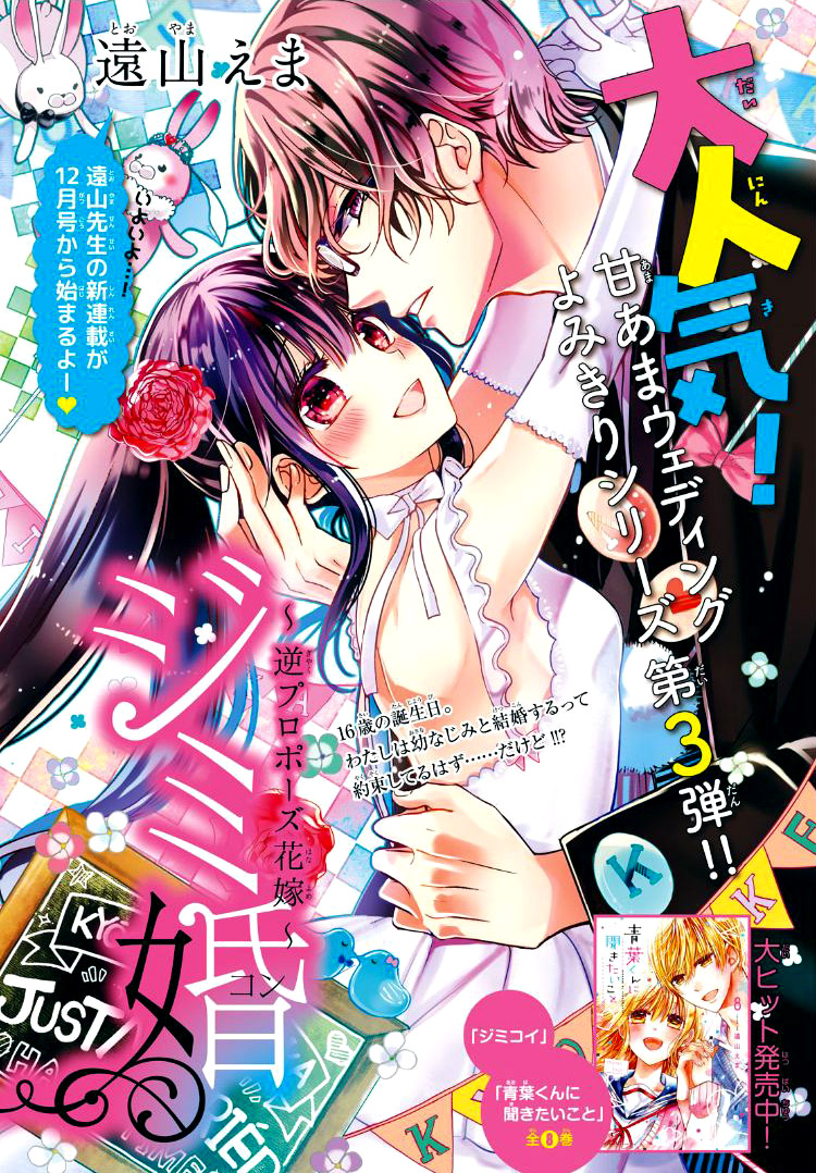 Plain Marriage manga cover