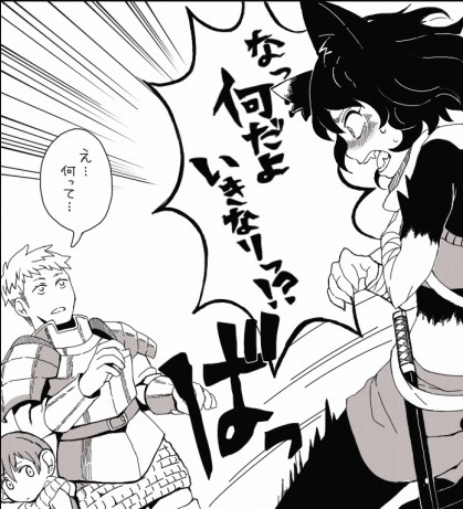 Dungeon Meshi - Cat Ninja (Doujinshi) manga cover