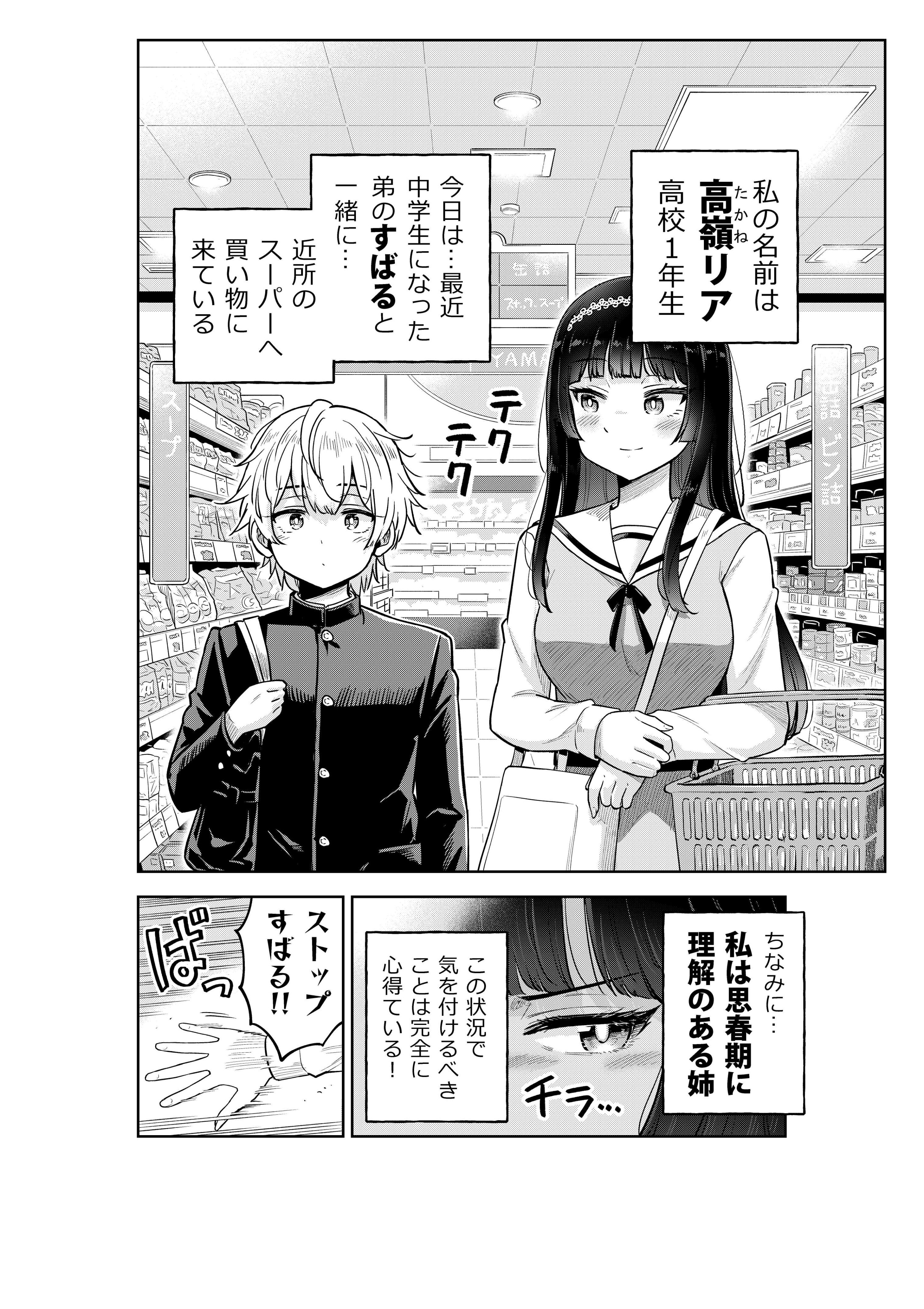 Shishunki ni Rikai no Aru Ane no Hanashi manga cover