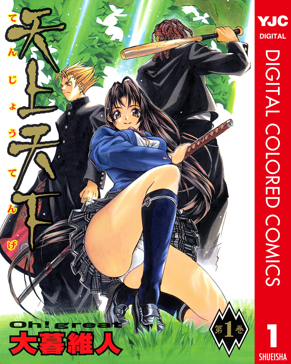 Tenjou Tenge (Official Colored) manga cover