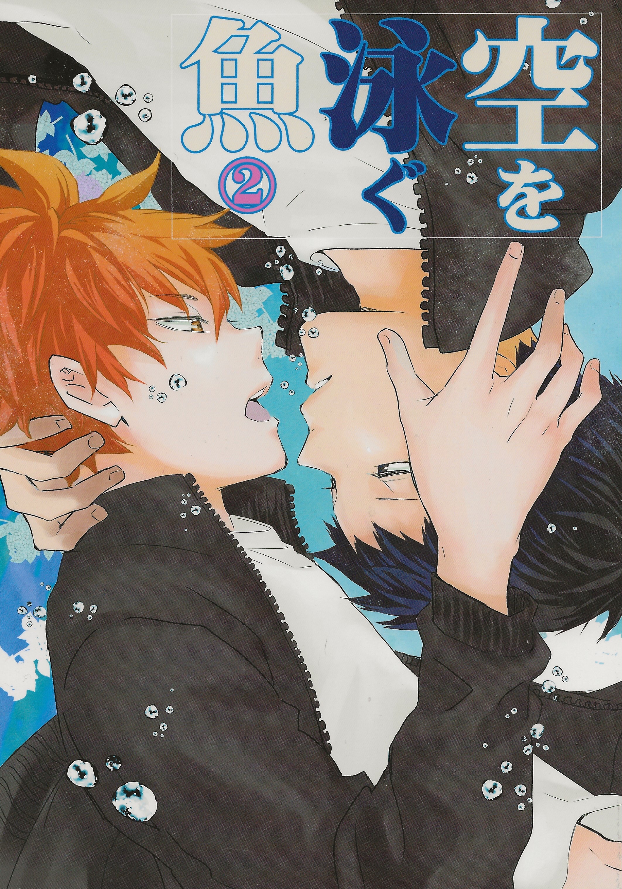 Haikyu!! - Fish Swimming in the Sky (Doujinshi) manga cover