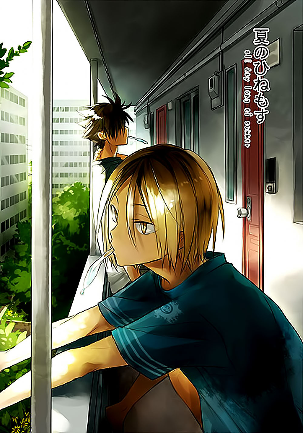 Haikyuu!! - Natsu no Hinemosu (Doujinshi) manga cover