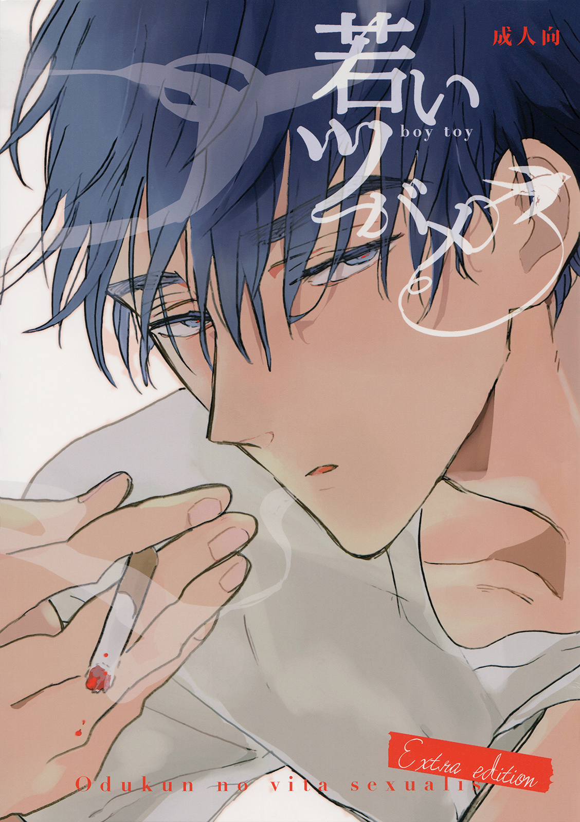 Wakai Tsubame - Boy Toy manga cover