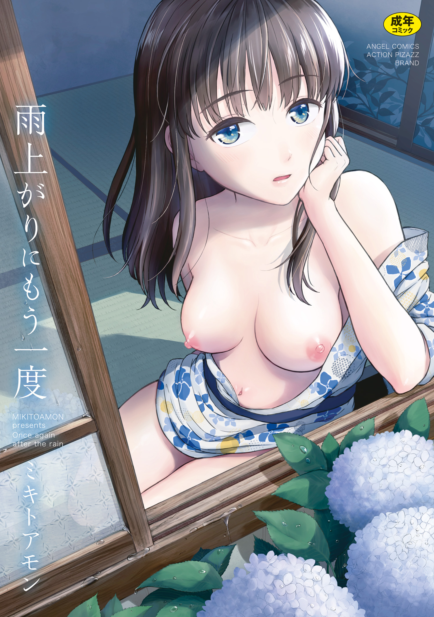 Ameagari ni Mou Ichido manga cover