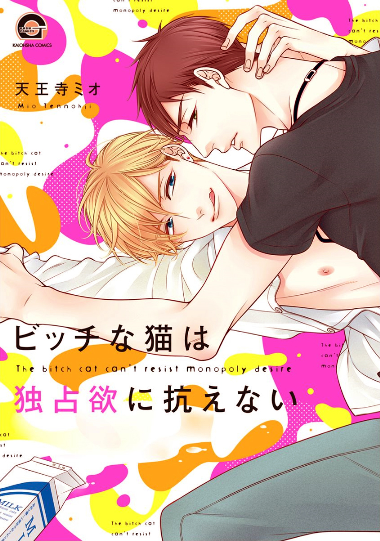 Bitch na Neko wa Koukishin ni Katenai manga cover