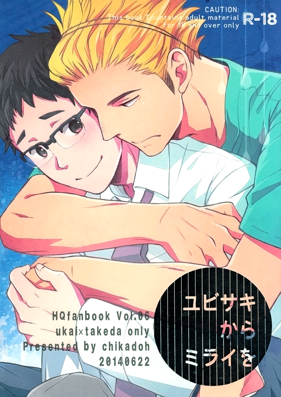 Haikyu!! - Touch the Future with Your Fingertips (Doujinshi) manga cover