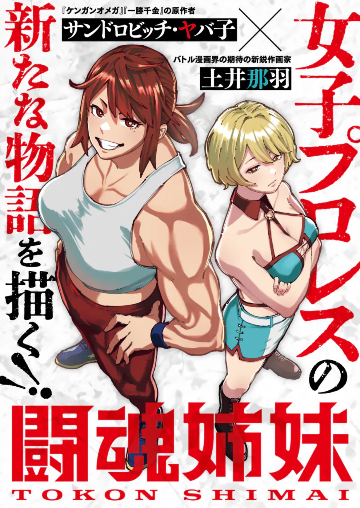 Tokon Shimai manga cover