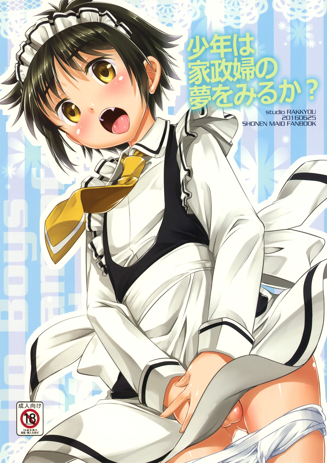 Shounen Maid - Shounen wa Kaseifu no Yume o Miru ka? (Doujinshi) manga cover