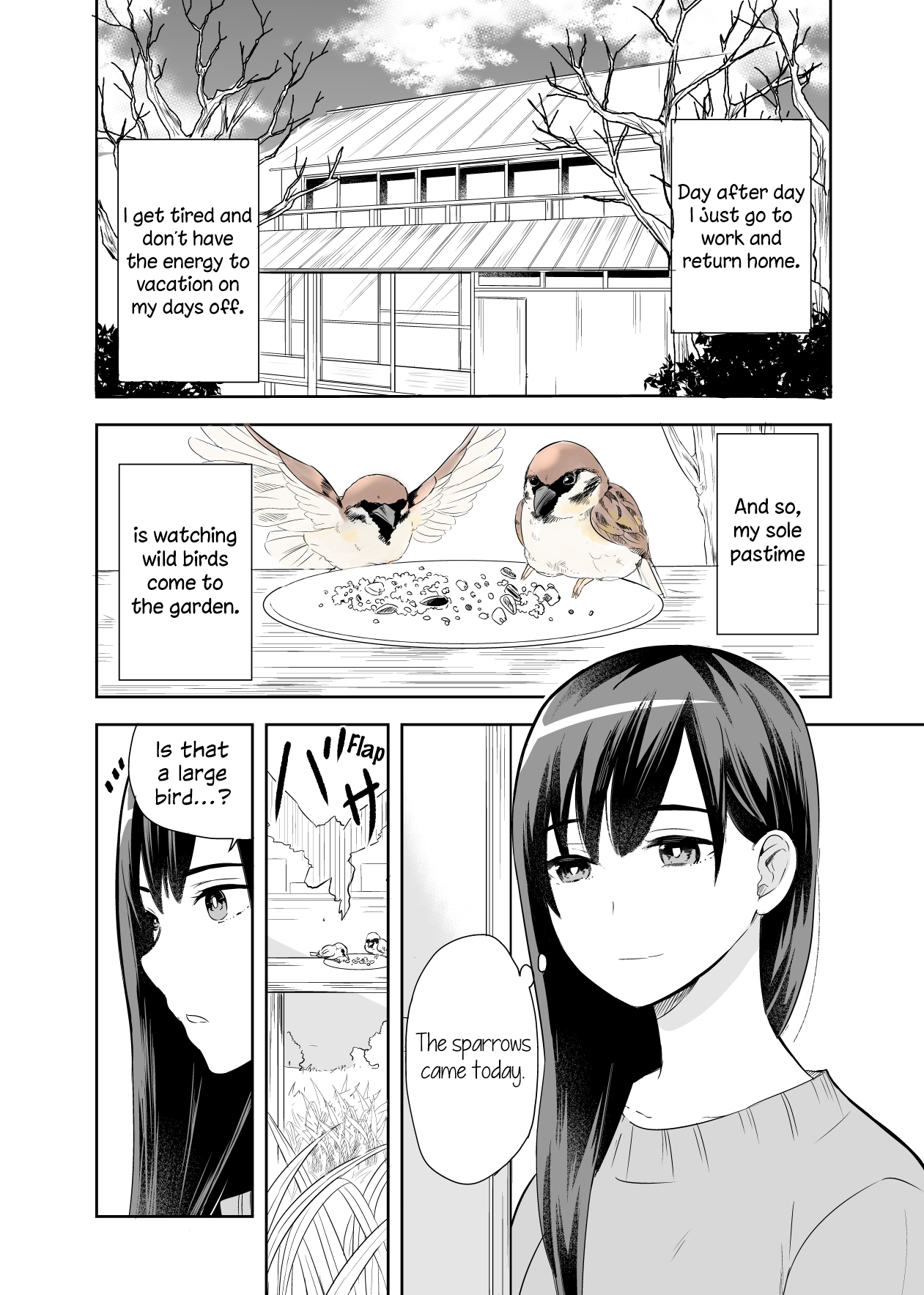 A Cute Bird Comes to an Office Lady Who Is Tired and Healed by Birdwatching manga cover