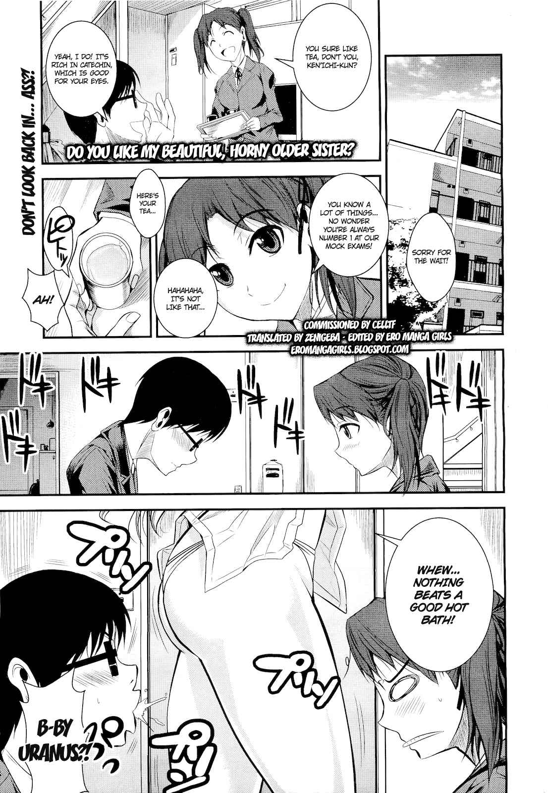 Do You Like My Beautiful, Horny Older Sister? manga cover