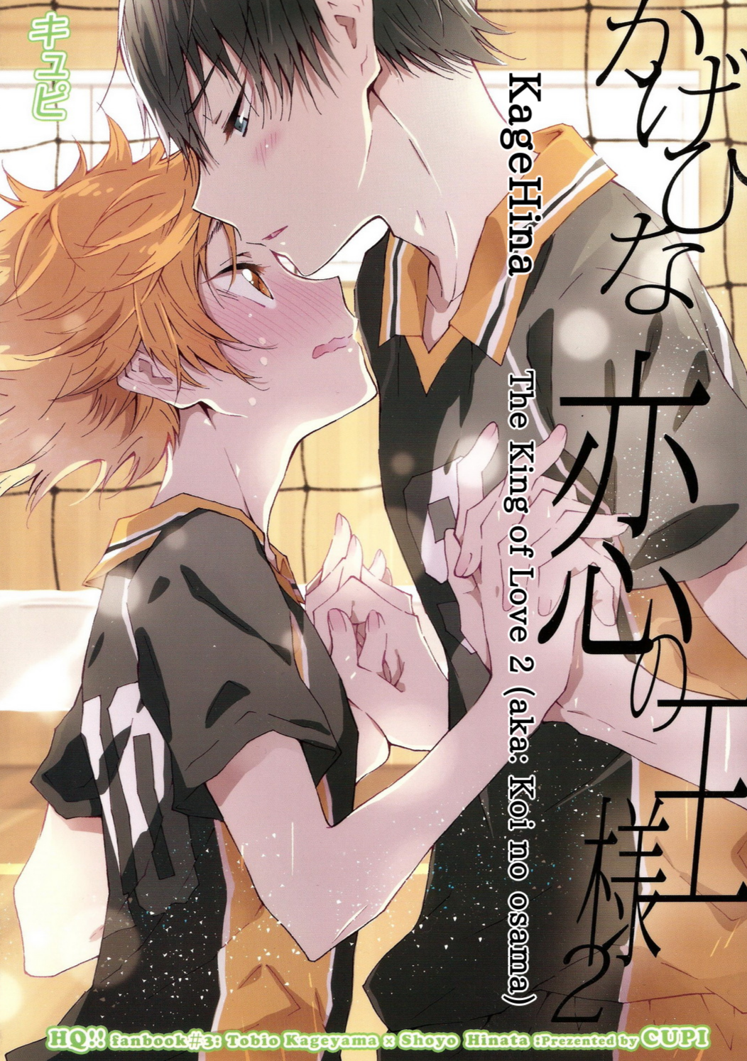 Haikyuu!! - The King of Love (Doujinshi) manga cover