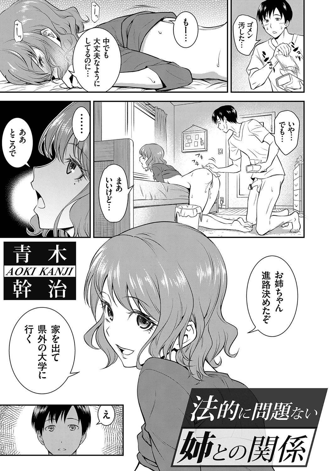 Houteki ni Mondai Nai Ane to no Kankei manga cover
