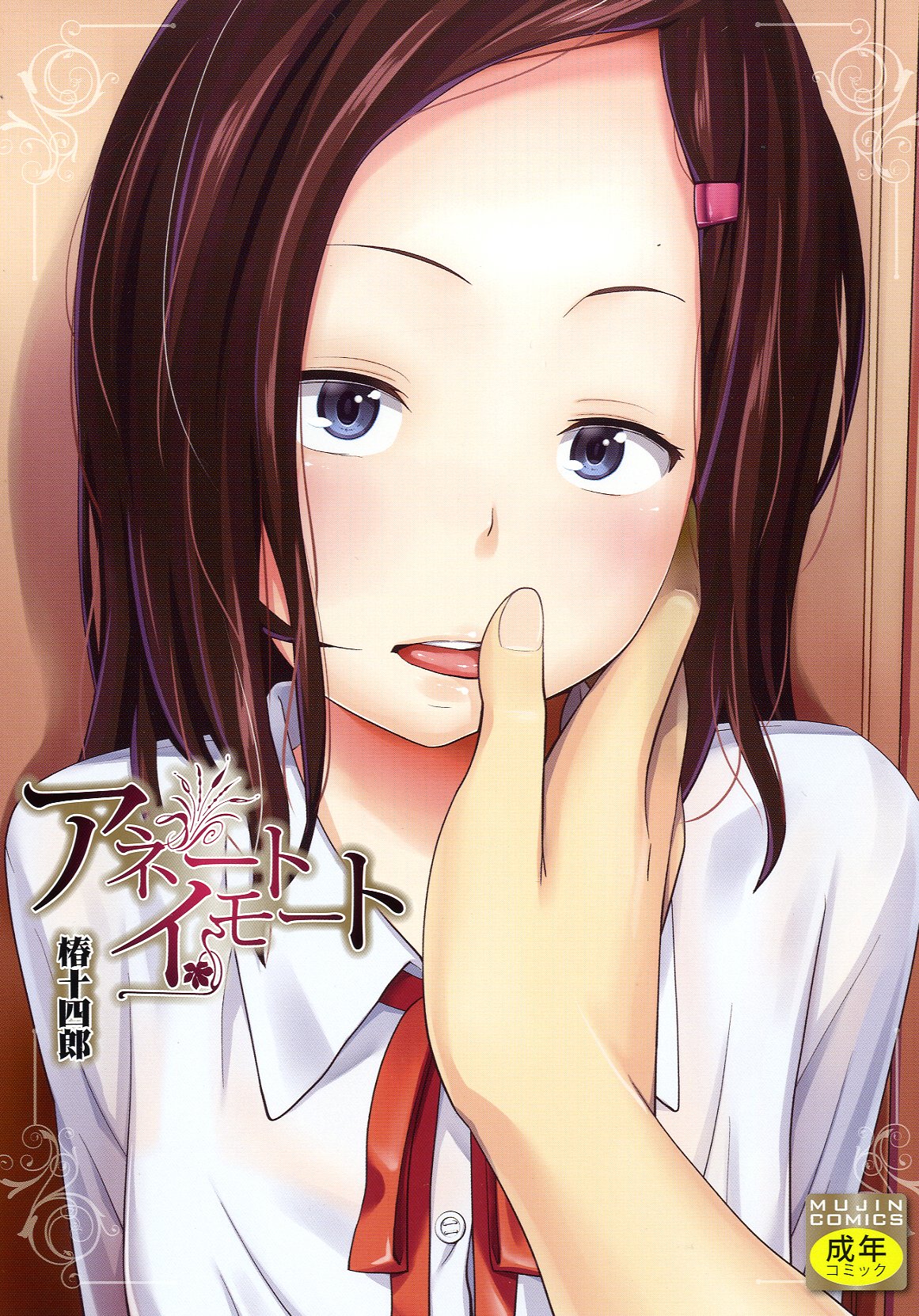 Aneito Imouto manga cover