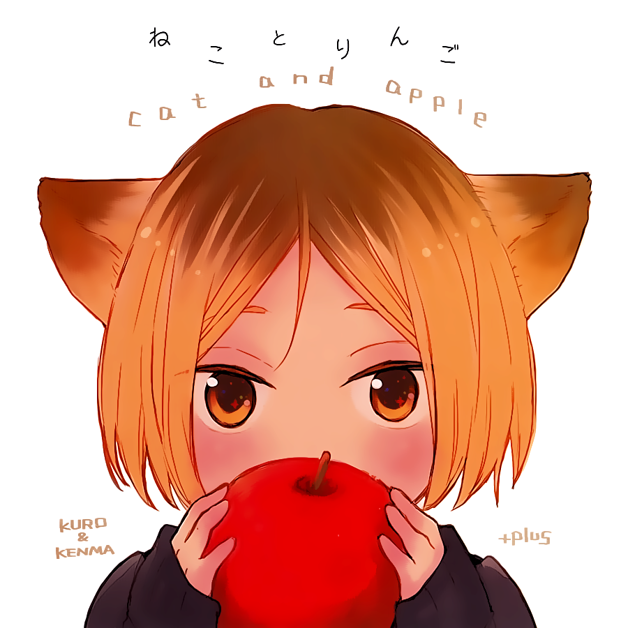 Haikyu!! - Neko to Ringo (Doujinshi) manga cover
