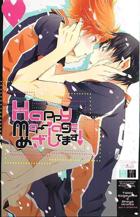 Haikyuu!! - Aiming for a Happy Marriage (Doujinshi) manga cover