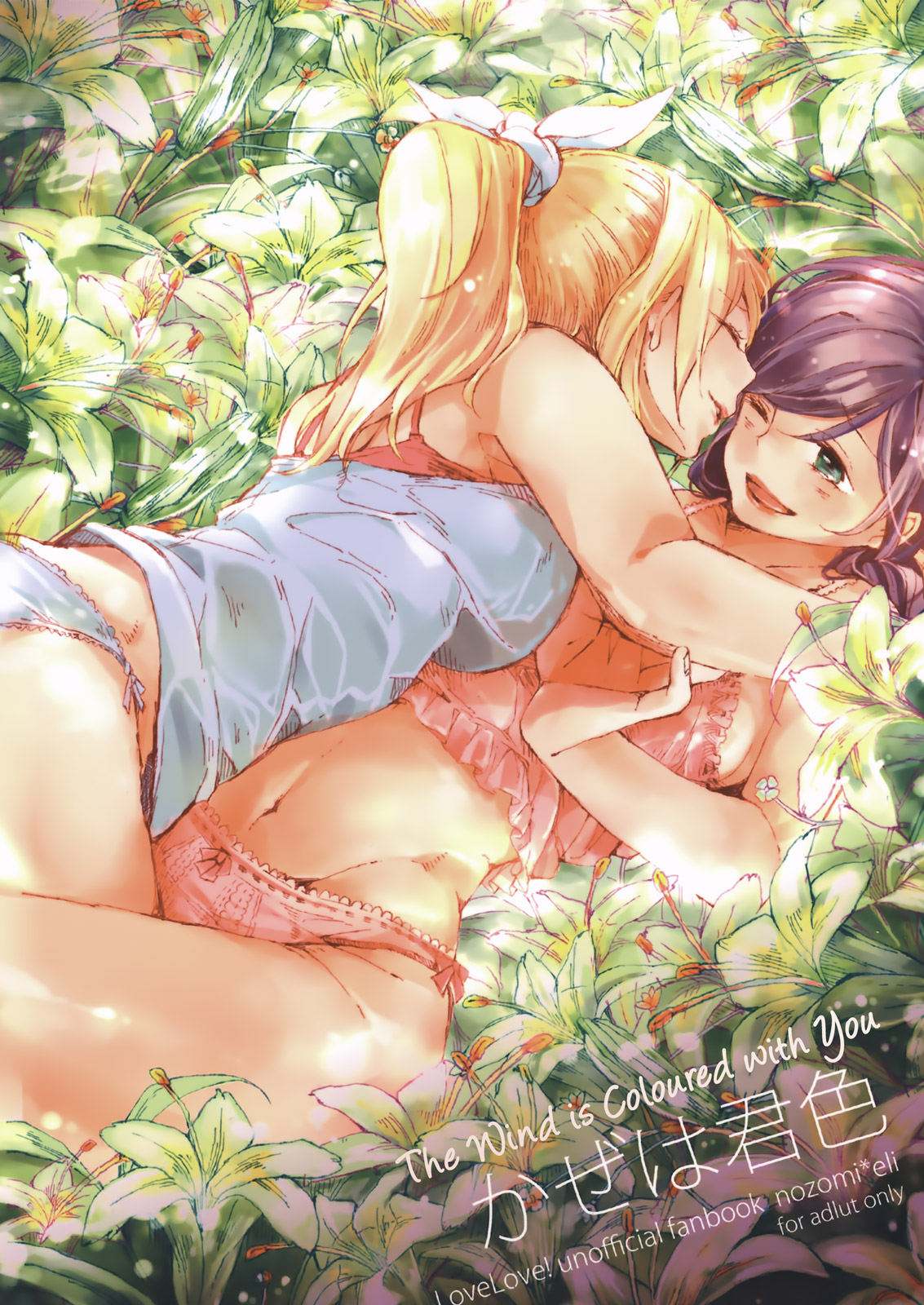 Love Live! - Kaze wa Kimi-iro (Doujinshi) manga cover