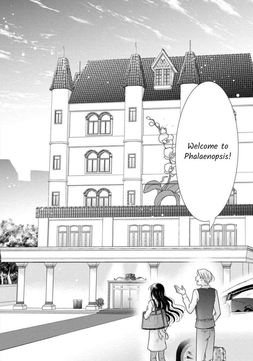 Page 3 Chapter 61 Moto Fuuzokujou ga Kanemochi Tsuma ni Narimashita