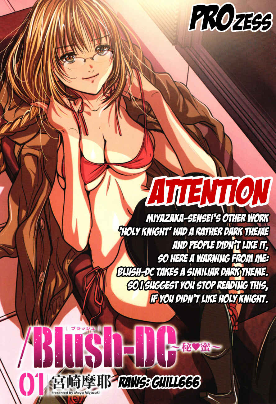 Page 28 Chapter 2 /Blush-DC ~Hi♥mitsu~
