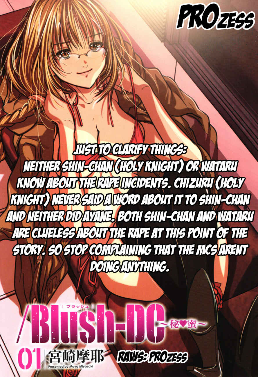 Page 28 Chapter 19 /Blush-DC ~Hi♥mitsu~