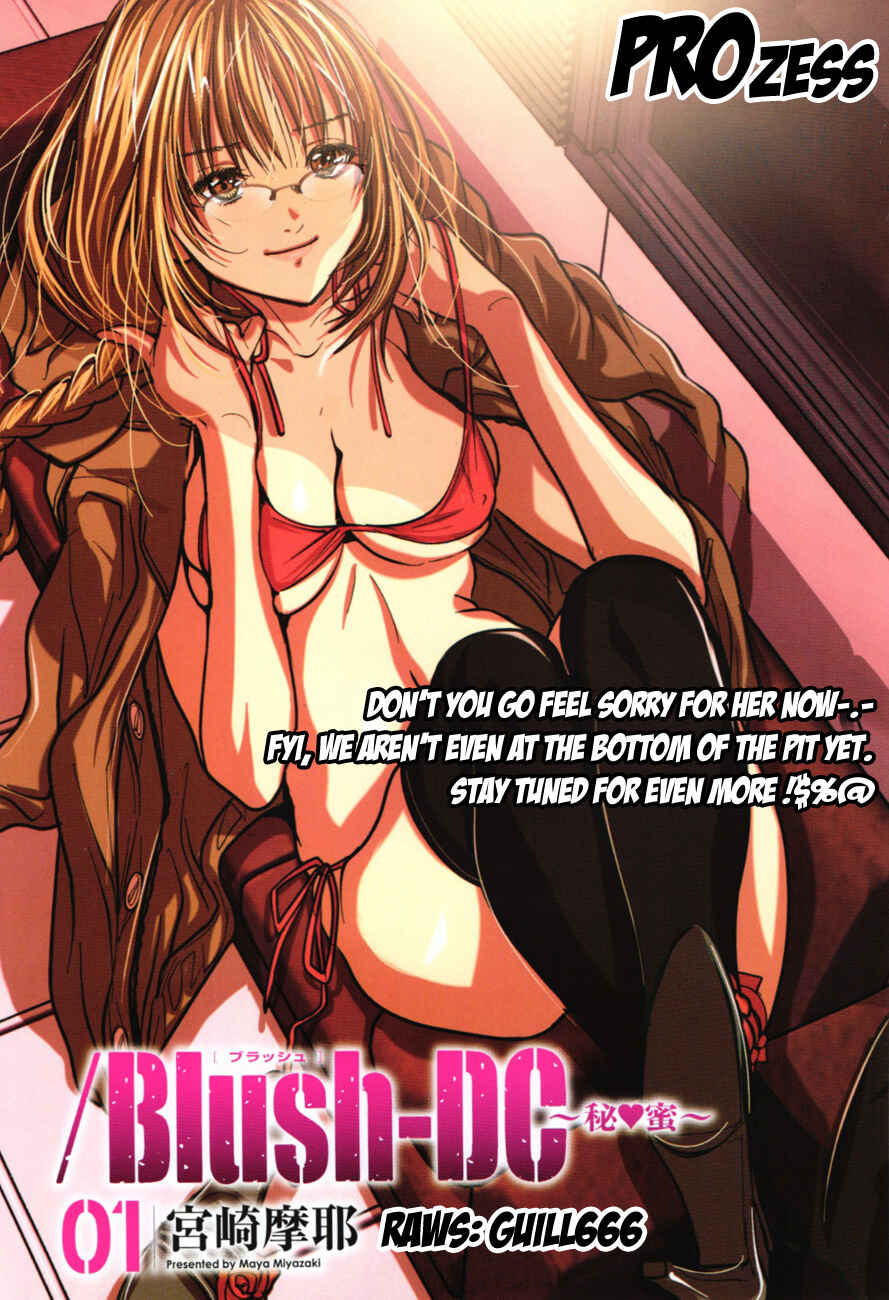 Page 25 Chapter 12 /Blush-DC ~Hi♥mitsu~
