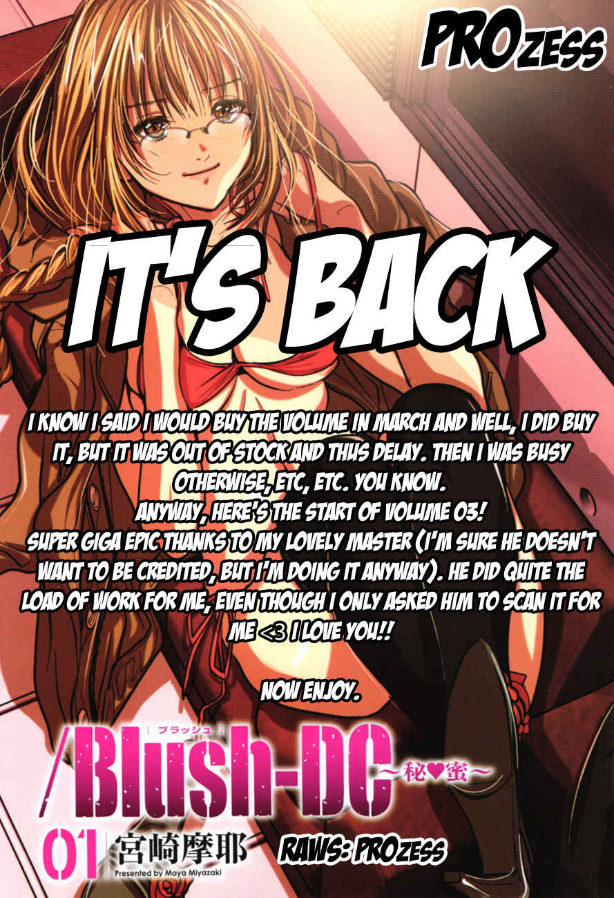 Page 33 Chapter 17 /Blush-DC ~Hi♥mitsu~