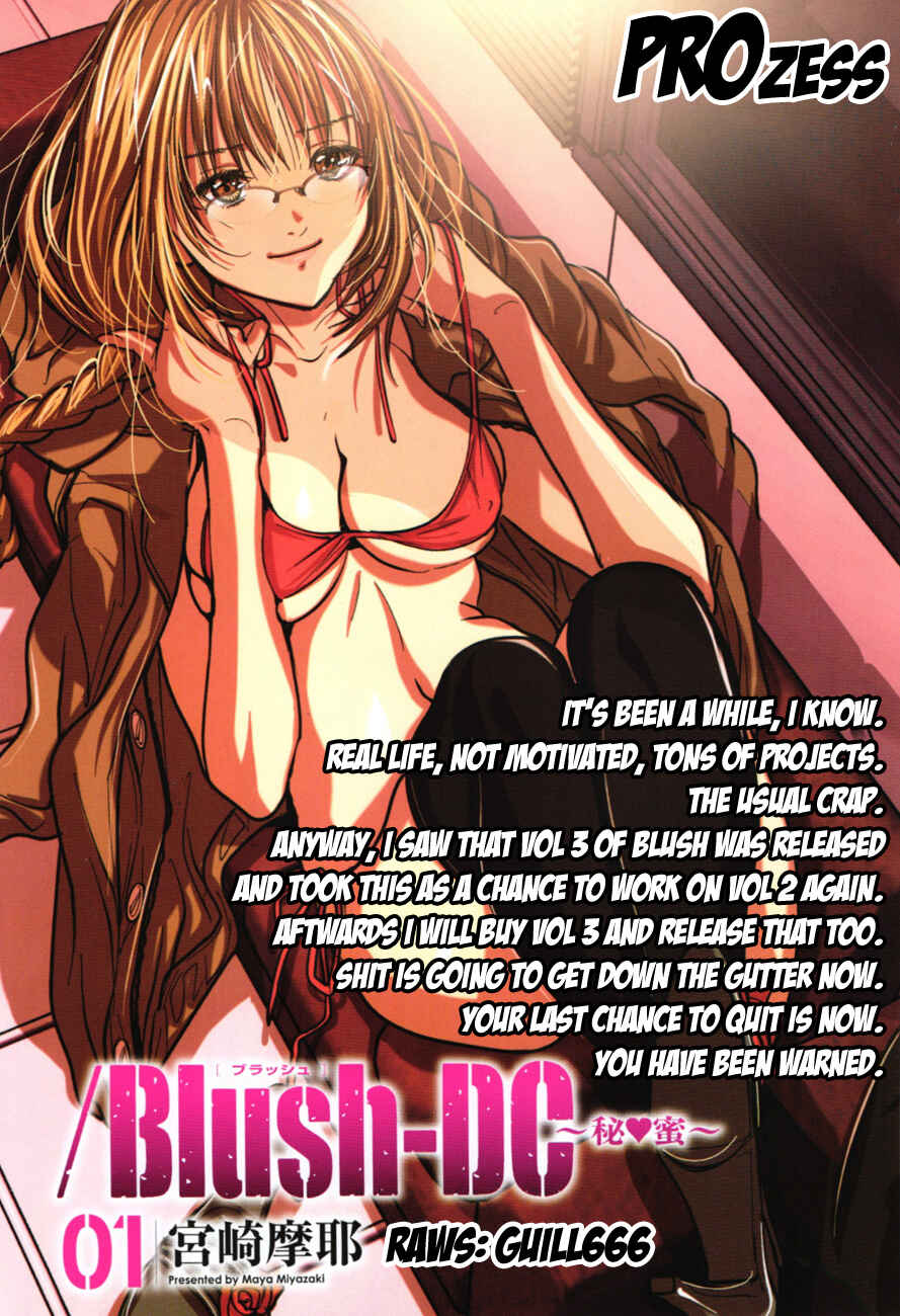 Page 25 Chapter 10 /Blush-DC ~Hi♥mitsu~