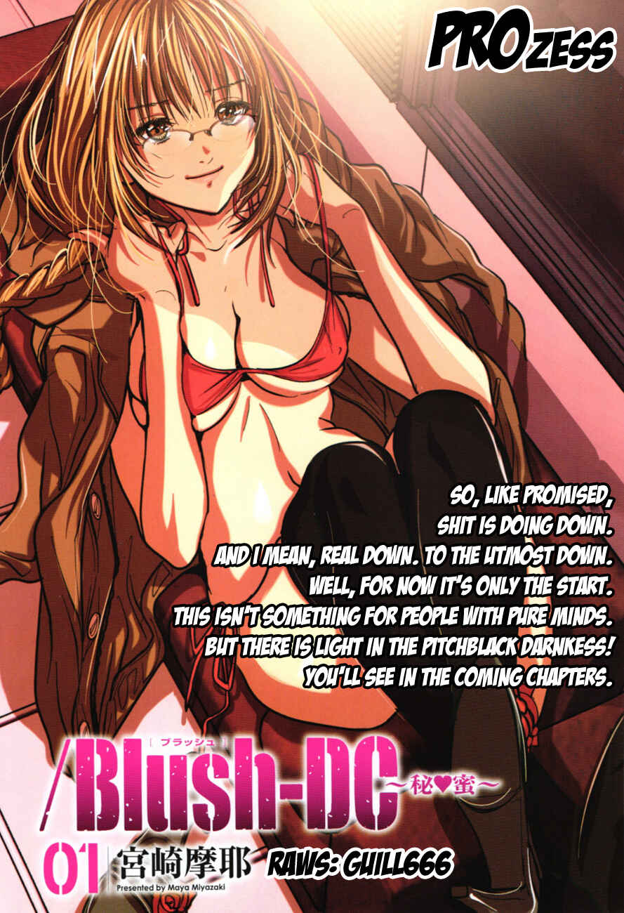 Page 20 Chapter 11 /Blush-DC ~Hi♥mitsu~