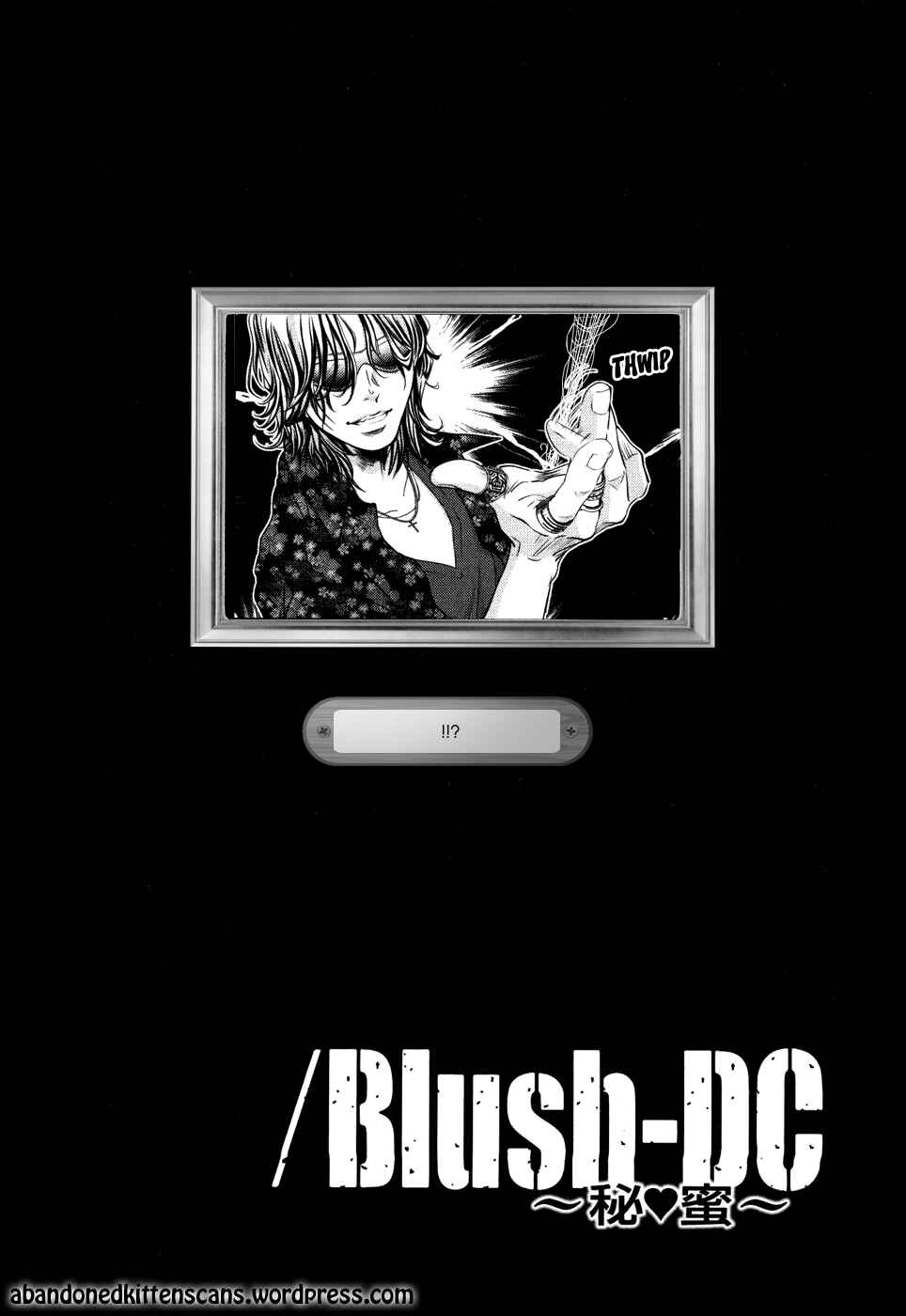 Page 29 Chapter 25 /Blush-DC ~Hi♥mitsu~