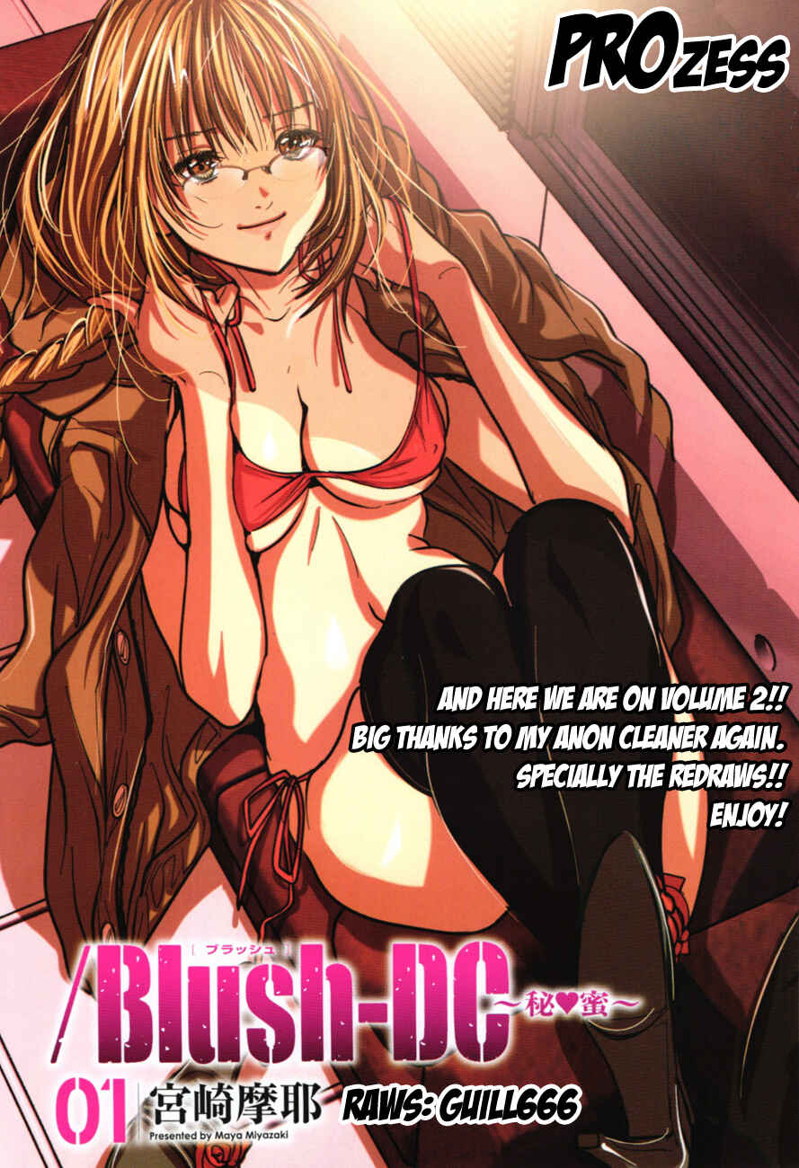 Page 40 Chapter 9 /Blush-DC ~Hi♥mitsu~