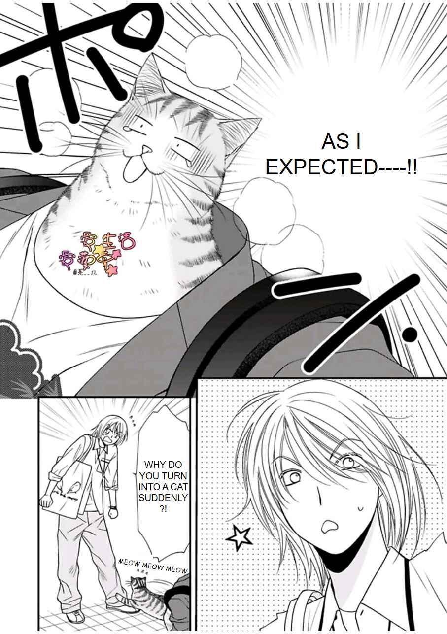 Page 22 Chapter 4 Neko Neko Baby