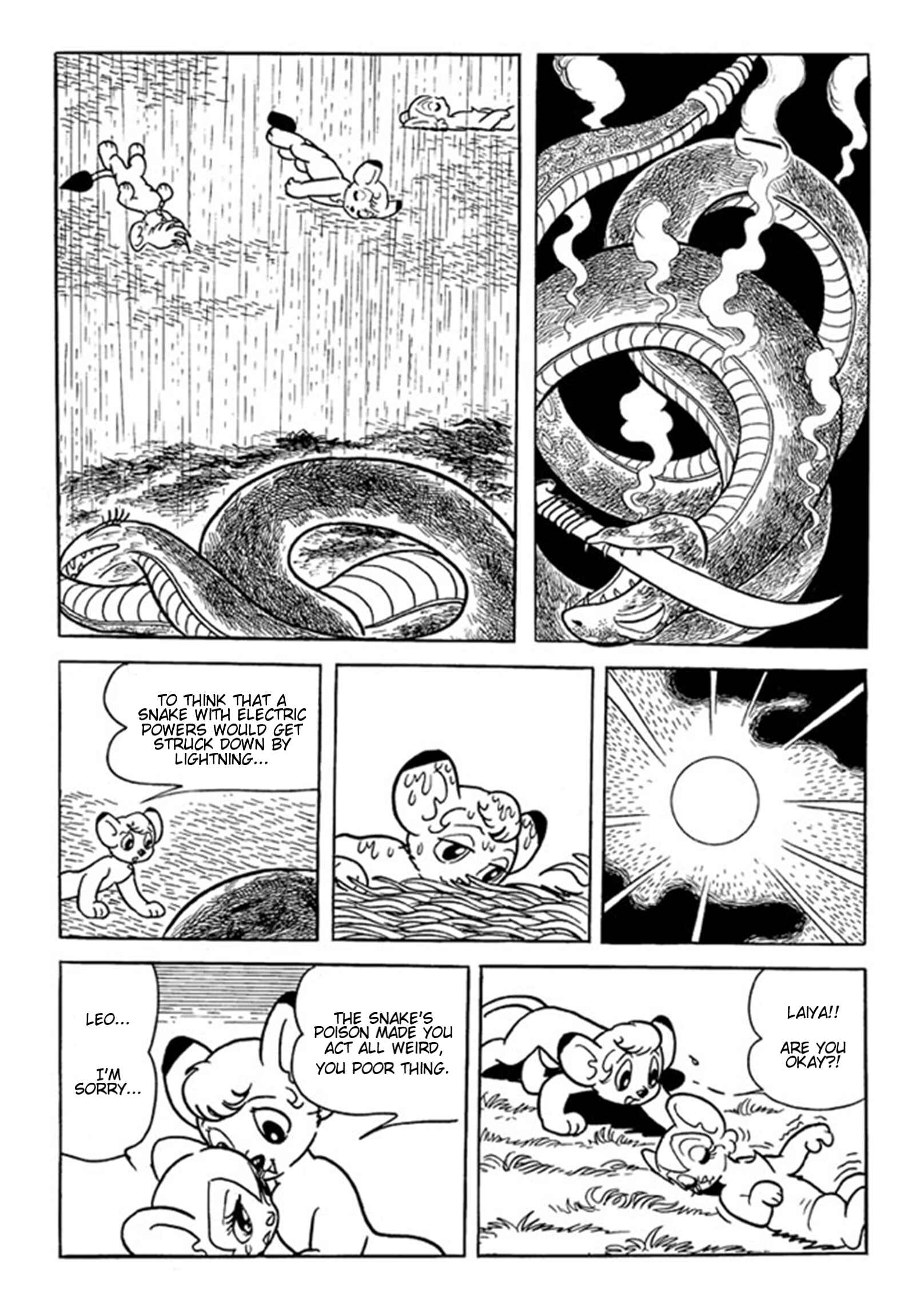 Page 30 Chapter 4 Jungle Emperor (Third  Grader)