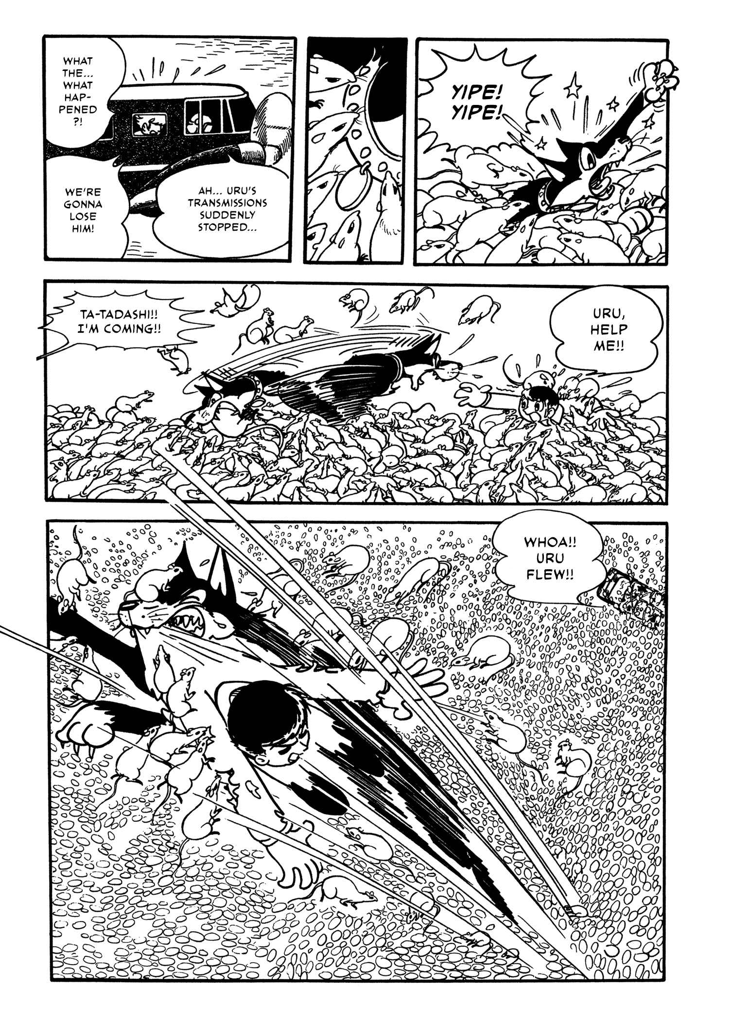 Page 13 Chapter 1 Flying Ben