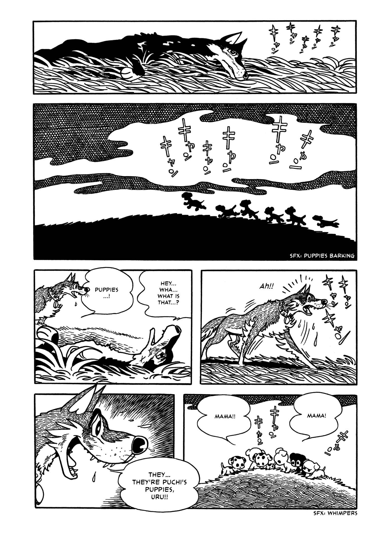 Page 37 Chapter 5 Flying Ben