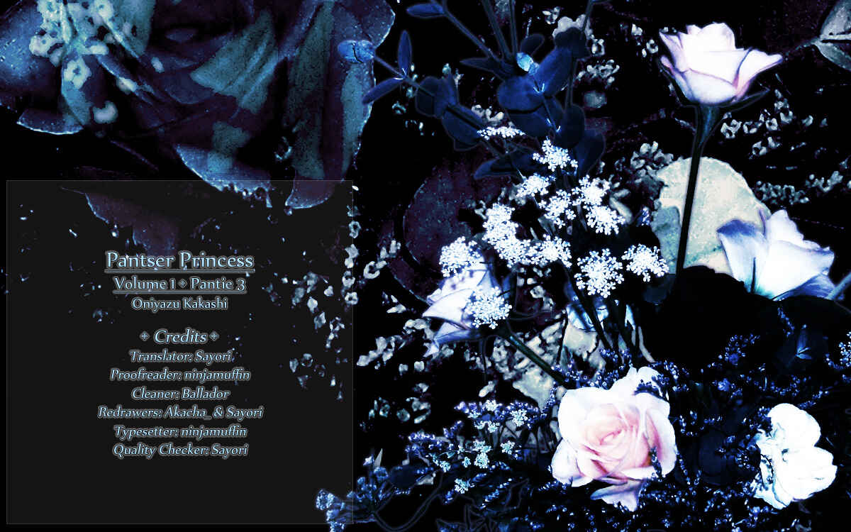 Page 13 Chapter 3 Pantser Princess