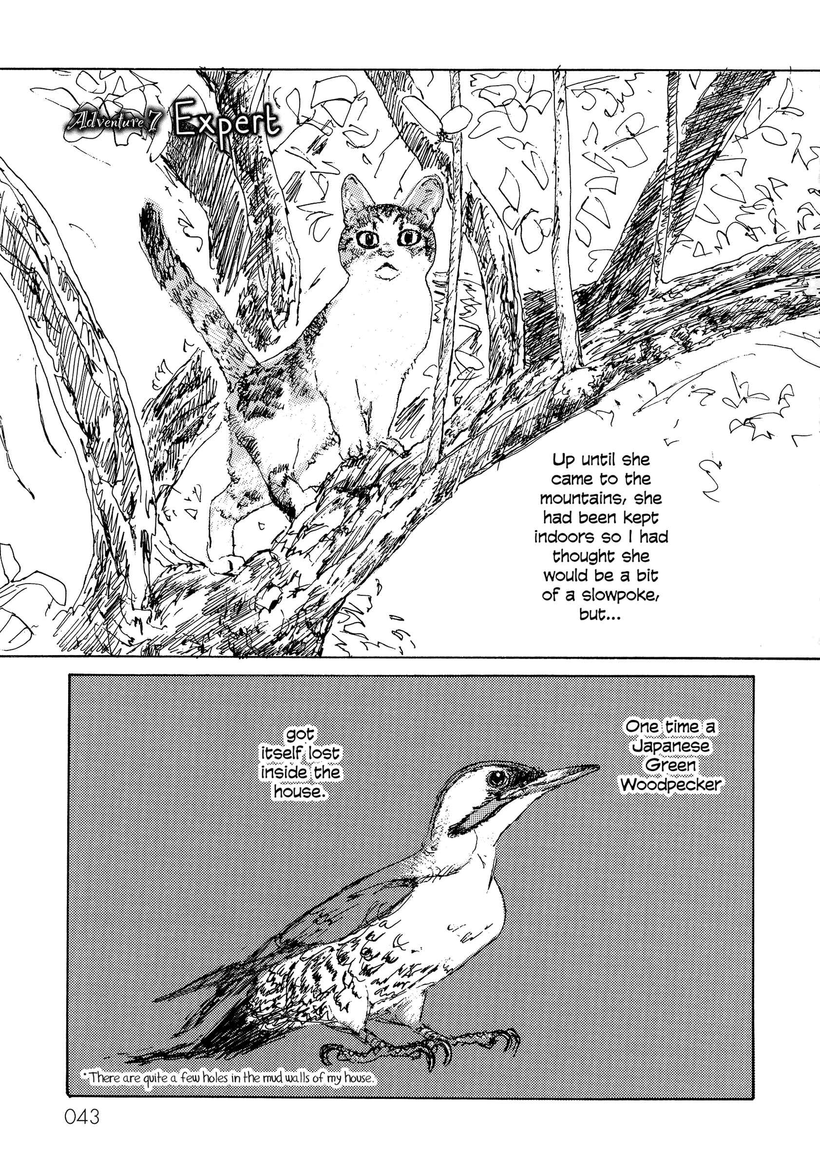 Page 1 Chapter 7 Kabochas Adventure